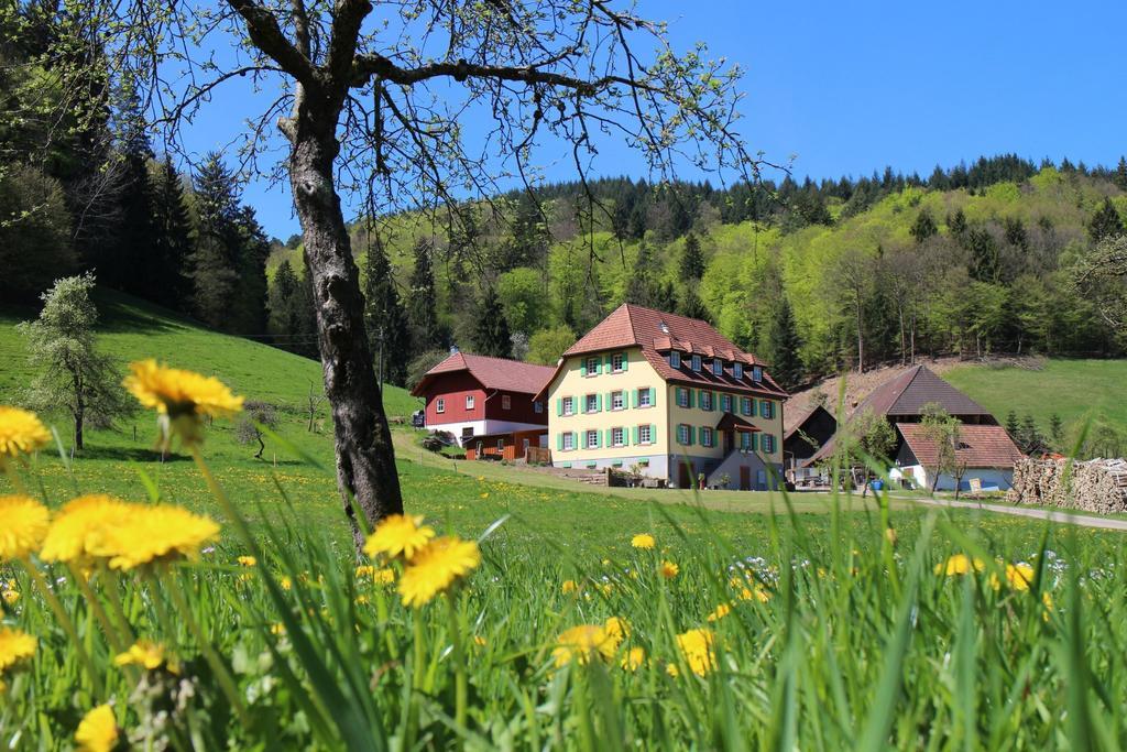 Offenburger Hof Apartment Schuttertal Bagian luar foto
