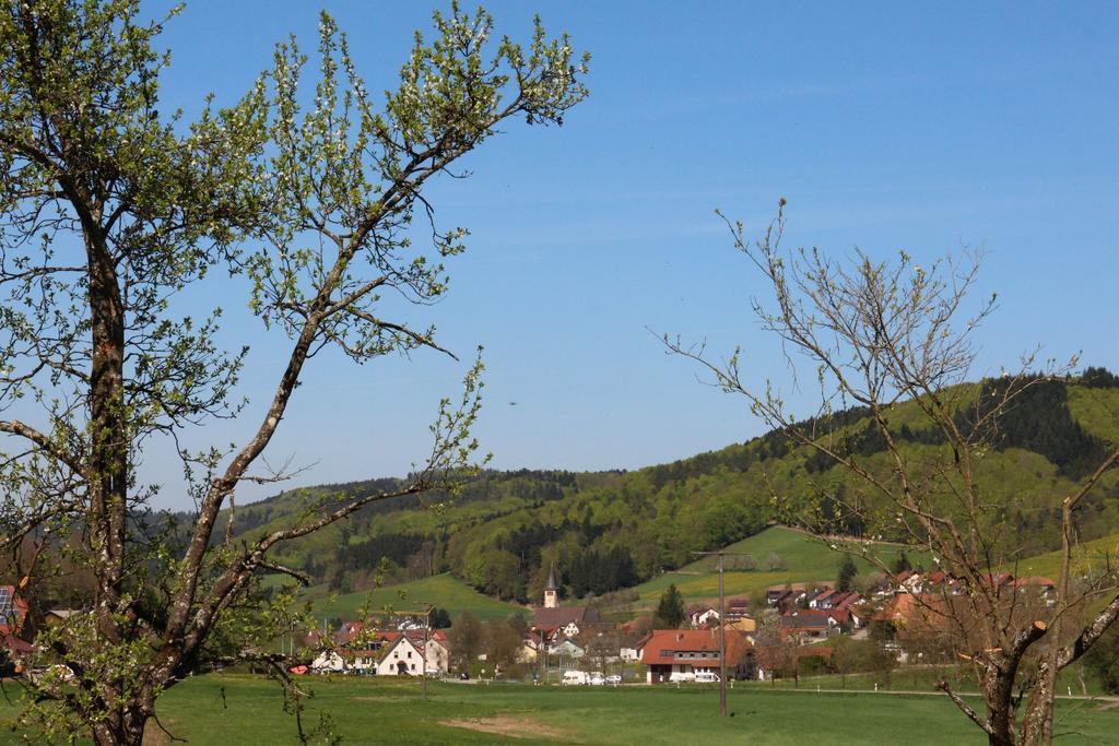 Offenburger Hof Apartment Schuttertal Bagian luar foto