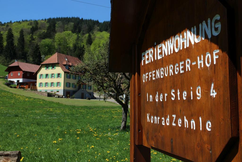 Offenburger Hof Apartment Schuttertal Bagian luar foto