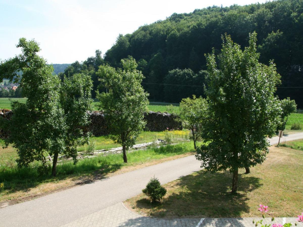 Offenburger Hof Apartment Schuttertal Bagian luar foto
