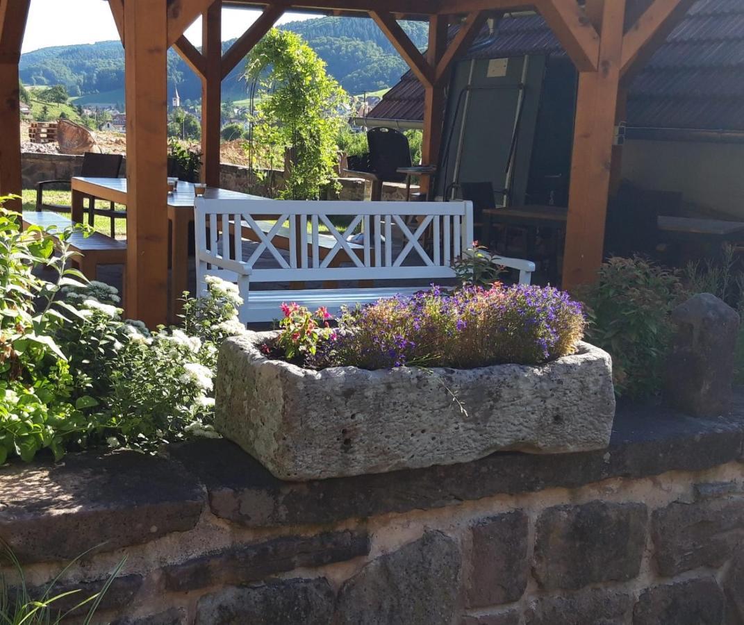 Offenburger Hof Apartment Schuttertal Bagian luar foto