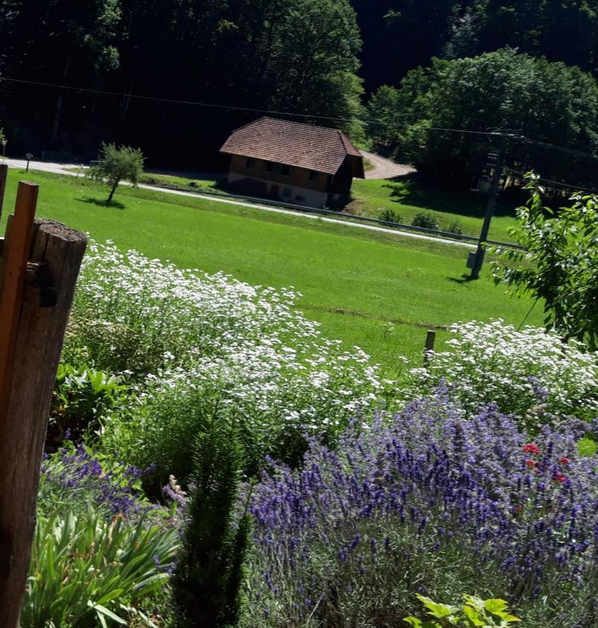 Offenburger Hof Apartment Schuttertal Bagian luar foto